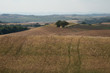 Extraordinary panorama of the Siena countryside, in the valley of the valley