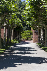  Gravel Garden Pathway