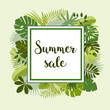 Summer Sale floral frame,Trendy tropical jungle design with palm and monstera leaf.
Vector background