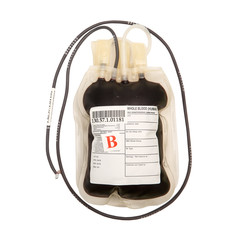 Wall Mural - Blood bag on white background