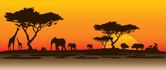 rhino landscape africa