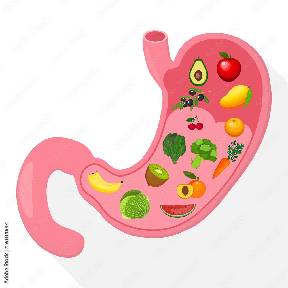 Stomach icon. Human internal organs. Healthy food. Digestion. Digestive tract, system. Healthcare. Flat style. Vector illustration Stock Vector | Adobe Stock
