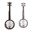 Vector sketch banjo guitar musical instrument