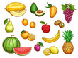 Vector exotic fresh fruits isolated icons set