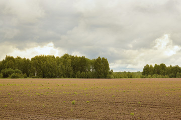 village plowed field on a cloudy day