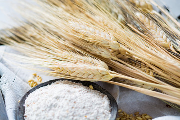 Organic ingredients for bread or pasta preparation - flour, wheat ears