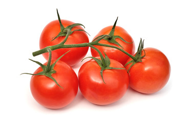 Tomatoes on branch isolated