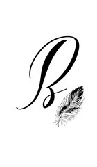Wall Mural - Hand drawn letter B in modern calligraphy style. Boho art print with decorative feathers.