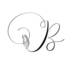 Wall Mural - Hand drawn letter B in modern calligraphy style. Boho art print with decorative feathers.