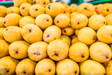 Macro Closeup Of Many Yellow Ripe Vibrant Champagne Mangoes