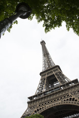 Wall Mural - Eiffel Tower looking up-sixth view