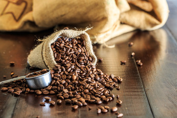 Coffee beans in the burlap coffee sack and coffee burlap bag on the rustic wood table.