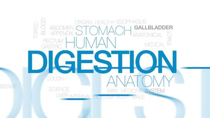 Wall Mural - Digestion animated word cloud, text design animation.  Kinetic typography.