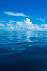 Wall Mural - sea