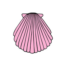 Pink Sea Shell Vector Illustration Doodle Drawing, Isolated On White Background.
