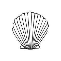 Sea shell doodle drawing, vector illustration isolated on white background. Sea scallop shell black outline.