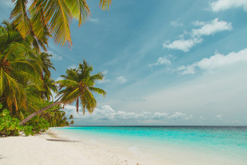 Wall Mural - tropical sand beach