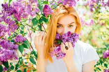 Young And Beautiful  Artistic Expressive Emotional Face With Playful And Foxy, Catty Eyes And Read Hair Of Girl Looking At Camera In Paradise  Blooming Lilac Bushes With Flowers On Nature Outdoor.