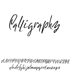 Wall Mural - Hand drawn elegant calligraphy font. Modern brush lettering. Grunge style alphabet. Vector illustration.