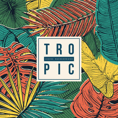 Wall Mural - Modern Tropic background with frame for your text. Vintage texture.Eps10 vector.