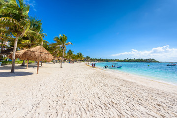 Wall Mural - Akumal beach - paradise bay  Beach in Quintana Roo, Mexico - caribbean coast