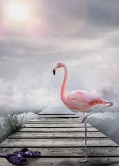 Naklejka ścieżka flamingo droga