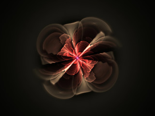 abstract flower fractal shape