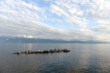 Wall Mural - Geneva Lake, Lausanne, Switzerland