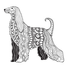 Wall Mural - Afghan hound dog zentangle stylized, vector, illustration, freehand pencil, pattern. Zen art. Black and white illustration on white background. Adult anti-stress coloring book.