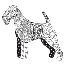 Welsh Terrier Dog Zentangle Stylized, Vector, Illustration, Freehand Pencil, Hand Drawn, Pattern. Zen Art. Black And White Illustration On White Background. Adult Anti-stress Coloring Book.