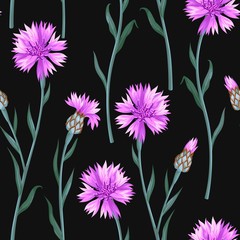 Poster - Seamless pattern with colorful cornflowers