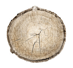 Wall Mural - wood slab sliced with tree ring texture pattern and cracks isolated on white background.