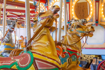 Carousel horses