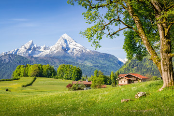 Mountain landscape in the alps in summer with Watzmann, Bavaria, Germany