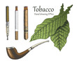 Tobacco collection hand drawing vintage style