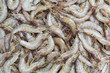 Whiteleg shrimp on sell in fresh market, Thailand