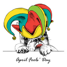 French Bulldog In A April Fools' Hat. Vector Illustration.