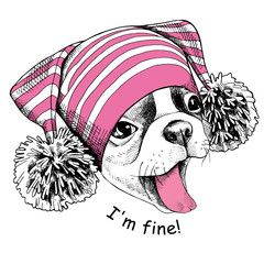 Wall Mural - French Bulldog in a pink Hat with pom-pom. Vector illustration.