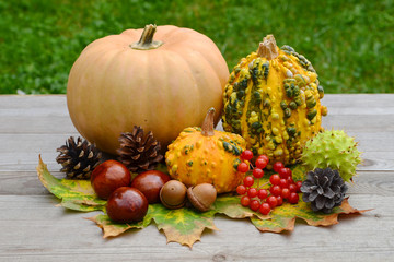  Autumn, fall, decoration, background.