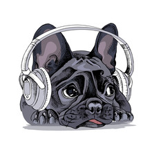 French Bulldog Portrait With A Headphones. Vector Illustration.