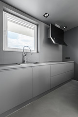 Wall Mural - Gray kitchen with window