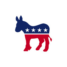 Election Topic Icon