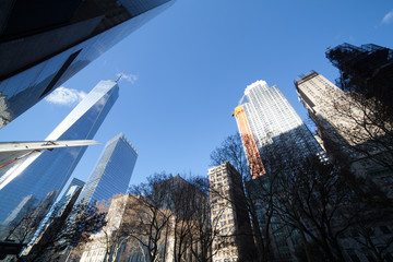 Wall Mural - Freedom Tower / One World Trade Center and surrounding buildings