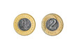 two Polish Zloty coin isolated