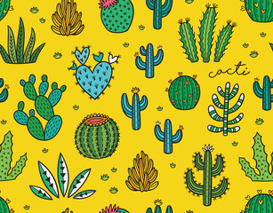 Succulent colorful seamless pattern. Hand drawn vector background