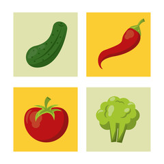 Sticker - white background with colorful squares with cucumber and chilli and tomato and broccoli vector illustration