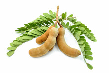 Tamarind, Isolated On A White Background