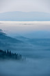 Foggy Landscape in Mountains. Beautiful morning landscape with trees in the fog.