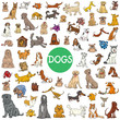 cartoon dog characters large collection