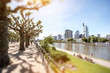 View on the financial district with Main river and park in Frankfurt city, Germany